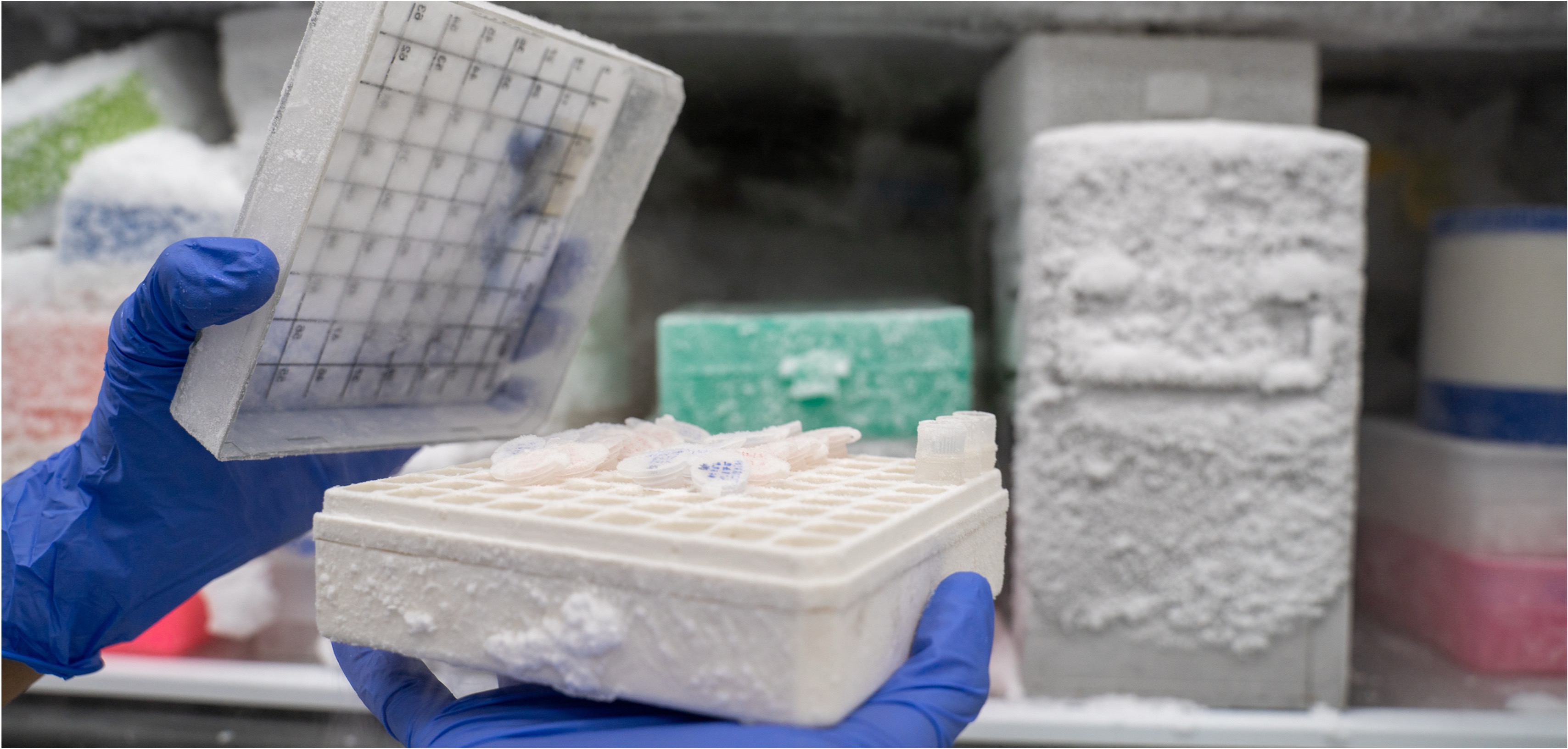 Antibody treatment cold chain monitoring